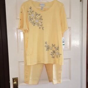 Alfred Dunner size 16/L matching set, cheerful, NWT knit top and bottom. BOGO
